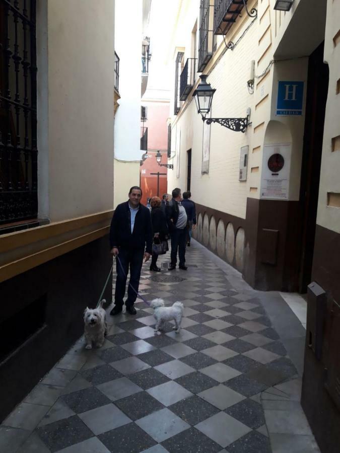 Nool Apartamento Sevilla