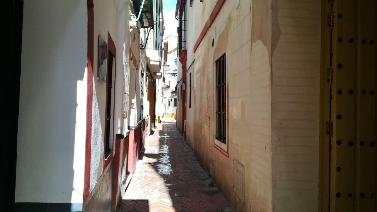 Apartamento San Clemente *