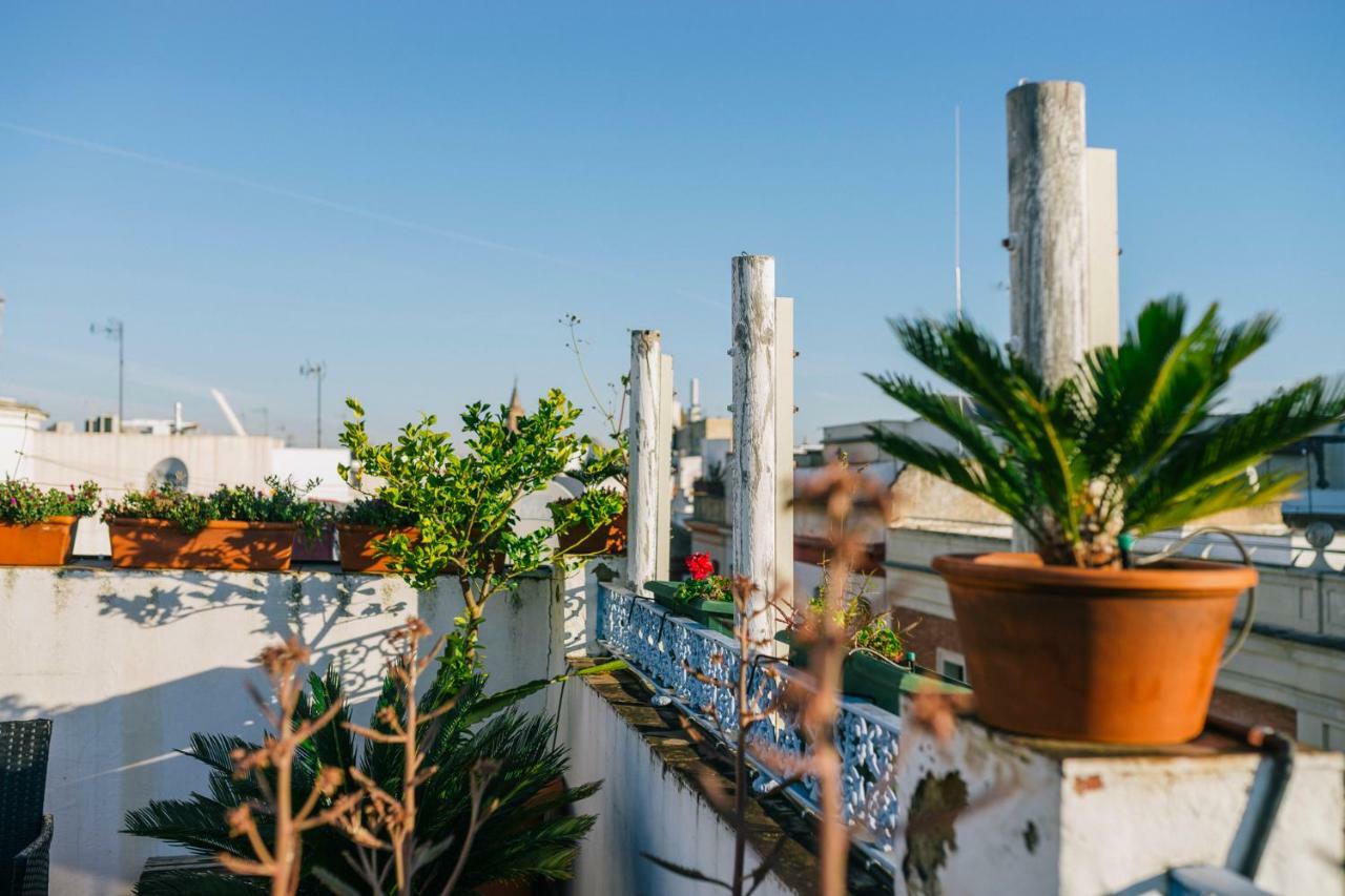 Eva Recommends Alberto Lista Atico Apartment