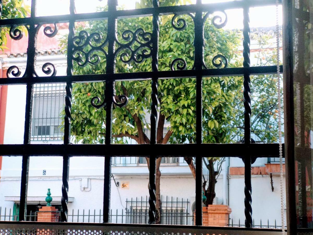 Wish Barrio De Leon En Triana *