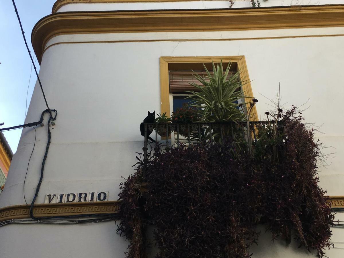 Apartamento Vidrio