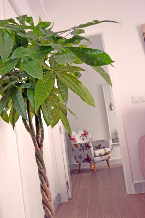 Artemisa, 2 Apartment *