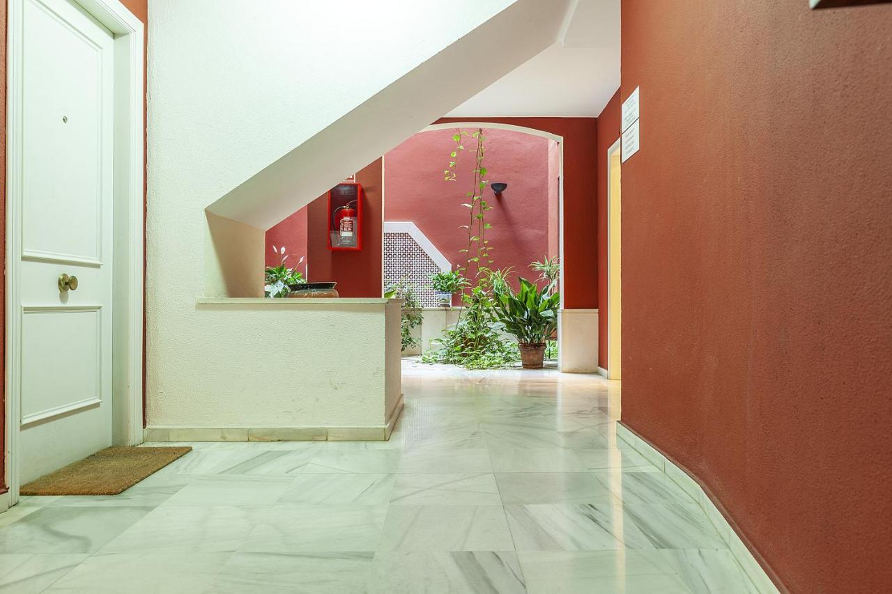 Apartment Precioso En Santa Cruz Lirio Bajo